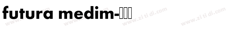 futura medim字体转换
